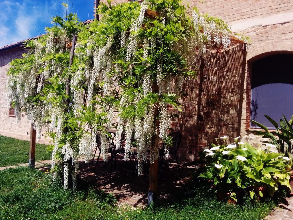 La Fornace Di San Galgano Villa Frosini ภายนอก รูปภาพ